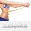 라인에이스