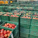 안동농협농산물공판장 이미지