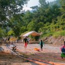 그린오토카 이미지