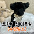 수멍발소 이미지