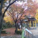 상수초교 이미지