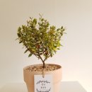 화산동근로자복지회관 이미지