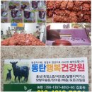 동탄행복건강원