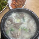 복사골소머리곰탕 | [부천/역곡] 복사골소머리곰탕 본점