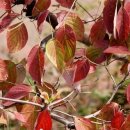 헤이리로(1) 이미지