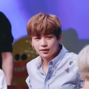 미소테라피