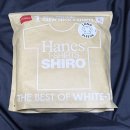 롱 | 헤인즈 시로 롱 슬리브 후기 &amp; 사이즈, 착샷