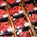 간사이참치 이미지