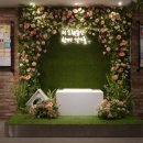 스마트 정형외과 신경외과 동물병원 이미지