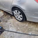 준카프라자 이미지