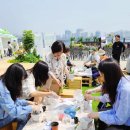 식물테라피