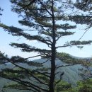 창평농장 이미지