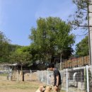 아트펫 갤러리 이미지