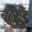 칠원농장 이미지