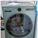 엘지세탁크리닝 이미지