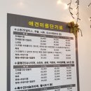 부르주화 펫 이미지