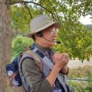 산림머슴 네이버블로그