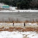 황룡강변 이미지