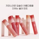 뉴아이리스 | S2ND 뉴 플레닛 블러썸 틴트 블러틴트 04 아이리스 블러-썸 사용 후기