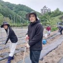 오촌농장 이미지