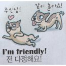 꼬리치는강아지 이미지