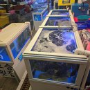 보승횟집 이미지