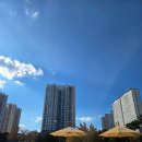 가좌울공원 앞 | 울산 공룡발자국공원 울가족 예술여행, 즐거운 체험과 아쉬운 안전 후기