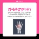 야당아주튼튼의원 이미지