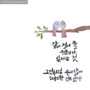 수채캘리그라피 네이버블로그