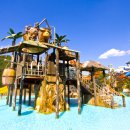 수성유도관 이미지