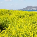 한성욱 행정사사무소 이미지