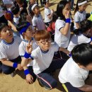 운송초등학교 이미지