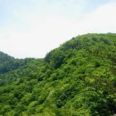 [진경수의 자연에서 배우는 삶의 여행] 白頭大幹 소맥산맥 산등성이에 위치한 ‘이만봉’ 이미지