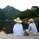 사찰음식: 한국기행.'연꽃보다 스님' 편에 소개 이미지