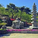 금강사 - 관악구 봉천로 218 | 금강사
