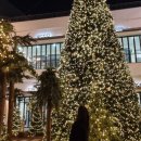 트리플메디칼 | 인천 송도ㅣ단돈 1900원 송도회전초밥, 미카도 스시 송도트리플점, 송도초밥 후기