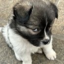 미강세탁 | 8月의 밤