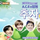 에이스 티브이데일리