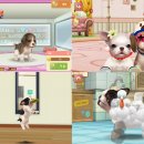 마이독스 이미지