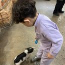 서창남순환로216번길1R | 인천 실내 아이와함께 가기 좋은 동물원 쥬벅스 후기