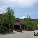 가평 더 스테이 힐링파크 동물원 내 돈 내산 후기