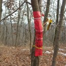 운제산장 이미지