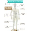 경희훈훈한의원 이미지