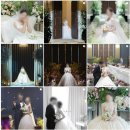 비비드유 vividu | W3. 본식 스냅 고르기 :: 비비드유(vividu_snap) 계약 후기