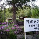 고단3리 이미지