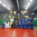 팀타이런트 유도 이미지