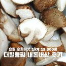 소다팜 | 더힐링팜 존맛탱 송화버섯 내돈내산 후기 (보관방법, 송화버섯 요리 추천)