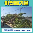 남부벌목 | 이천 도로확장공사 벌목 잔재처리 후기｜임목폐기물 합법처리 현장