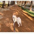 아이조아요양보호소 대구점 이미지