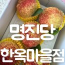 봉봉스테이션 | 전주한옥마을여행 디저트 추천 복숭아빵 명진당한옥마을점 방문후기